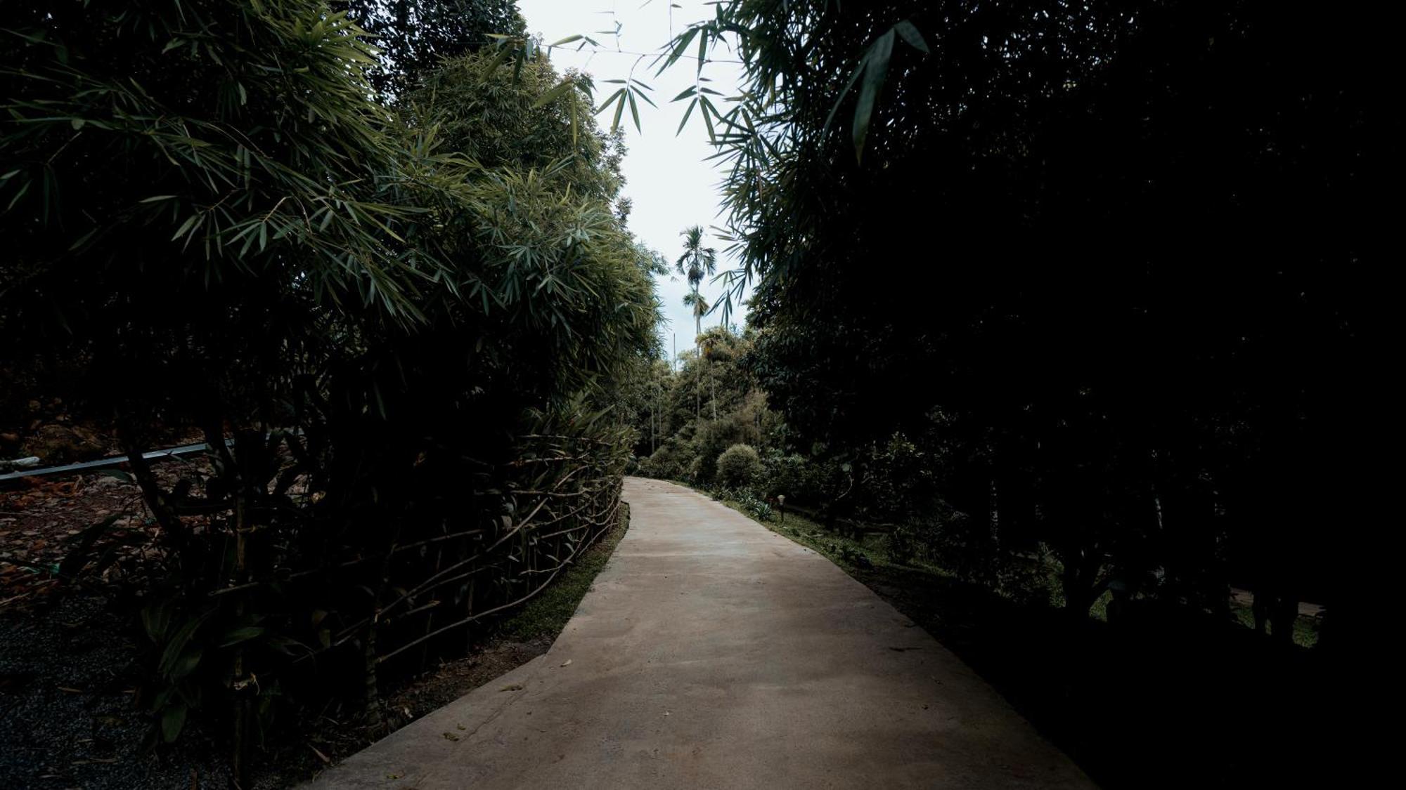 Vythiri Holiday Resort, Wayanad 외부 사진