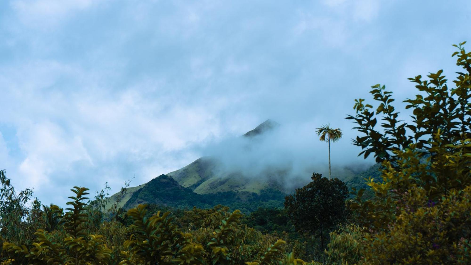 Vythiri Holiday Resort, Wayanad 외부 사진