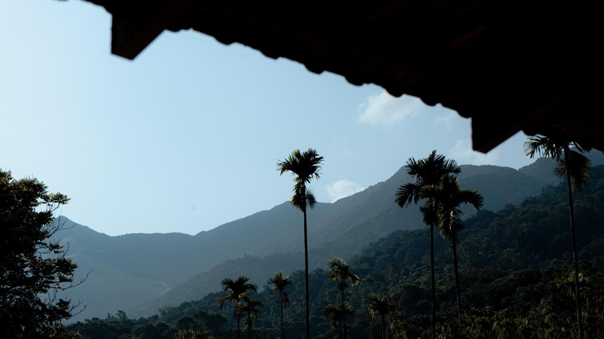 Vythiri Holiday Resort, Wayanad 외부 사진